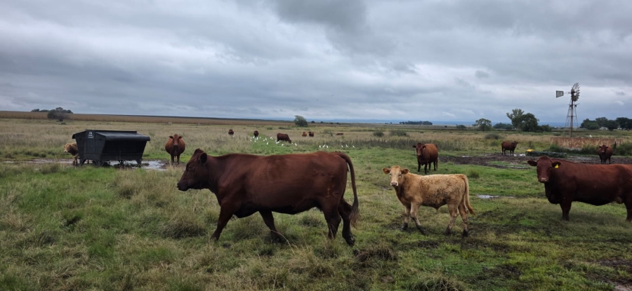 Commercial Property for Sale in Klerksdorp Rural North West